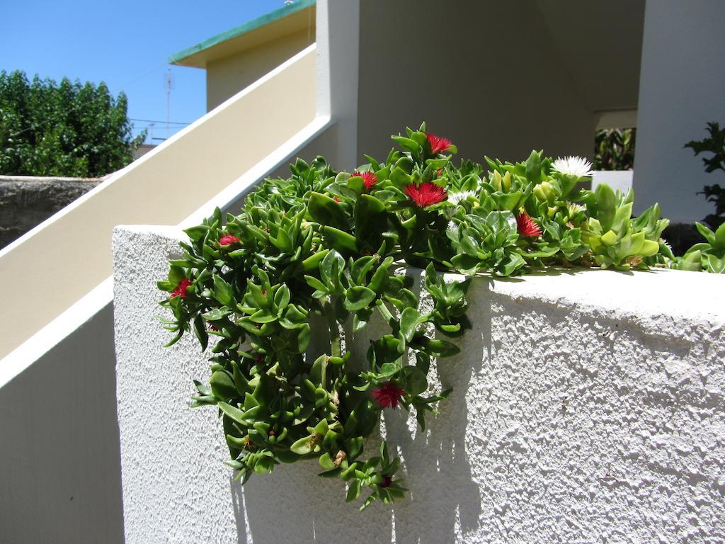 Michael Apartments Rethymno  Exterior photo